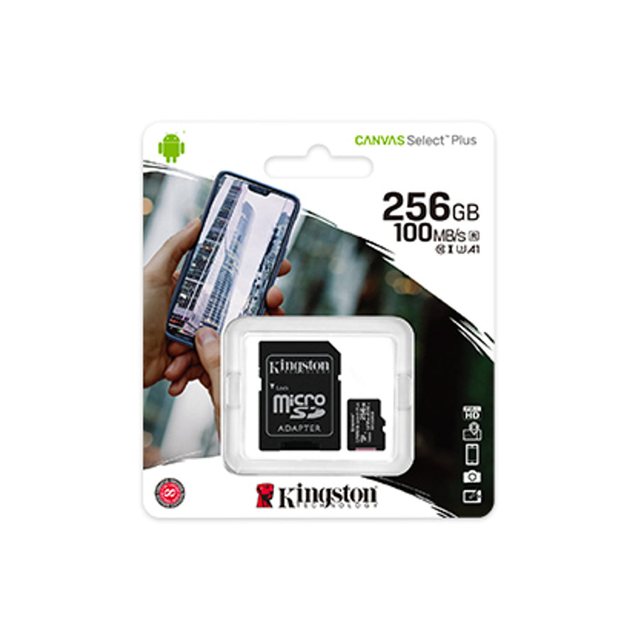 Memory kingston 256 gb