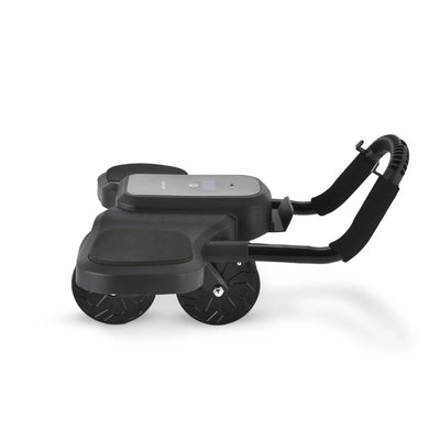 Green Lion Abs Exercise Roller-Black