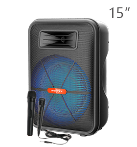 15 inch Portable Speaker VIP1 Model Unit Size: 40.5*29.5*56.9CM GTS-1882