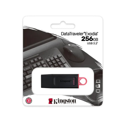 Flash memory kingston 256gb