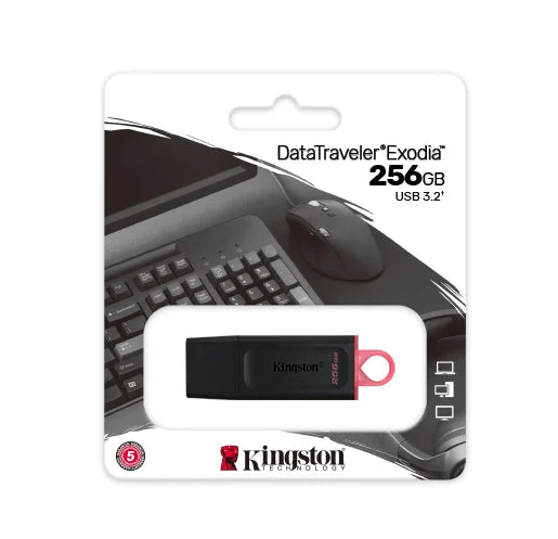 Flash memory kingston 256gb