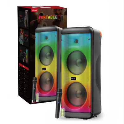 2*8 inch Portable Speaker VIP1 Model Unit Size: 26.5*26*65CM KTS-2296