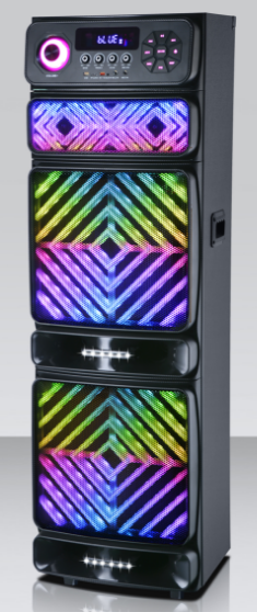 2*15 inch Speaker